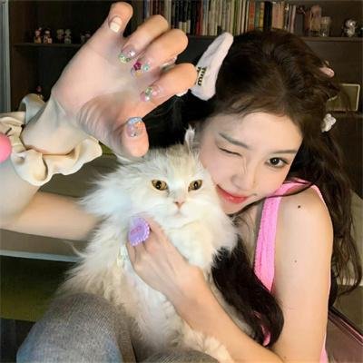 形意山河之火力拳开